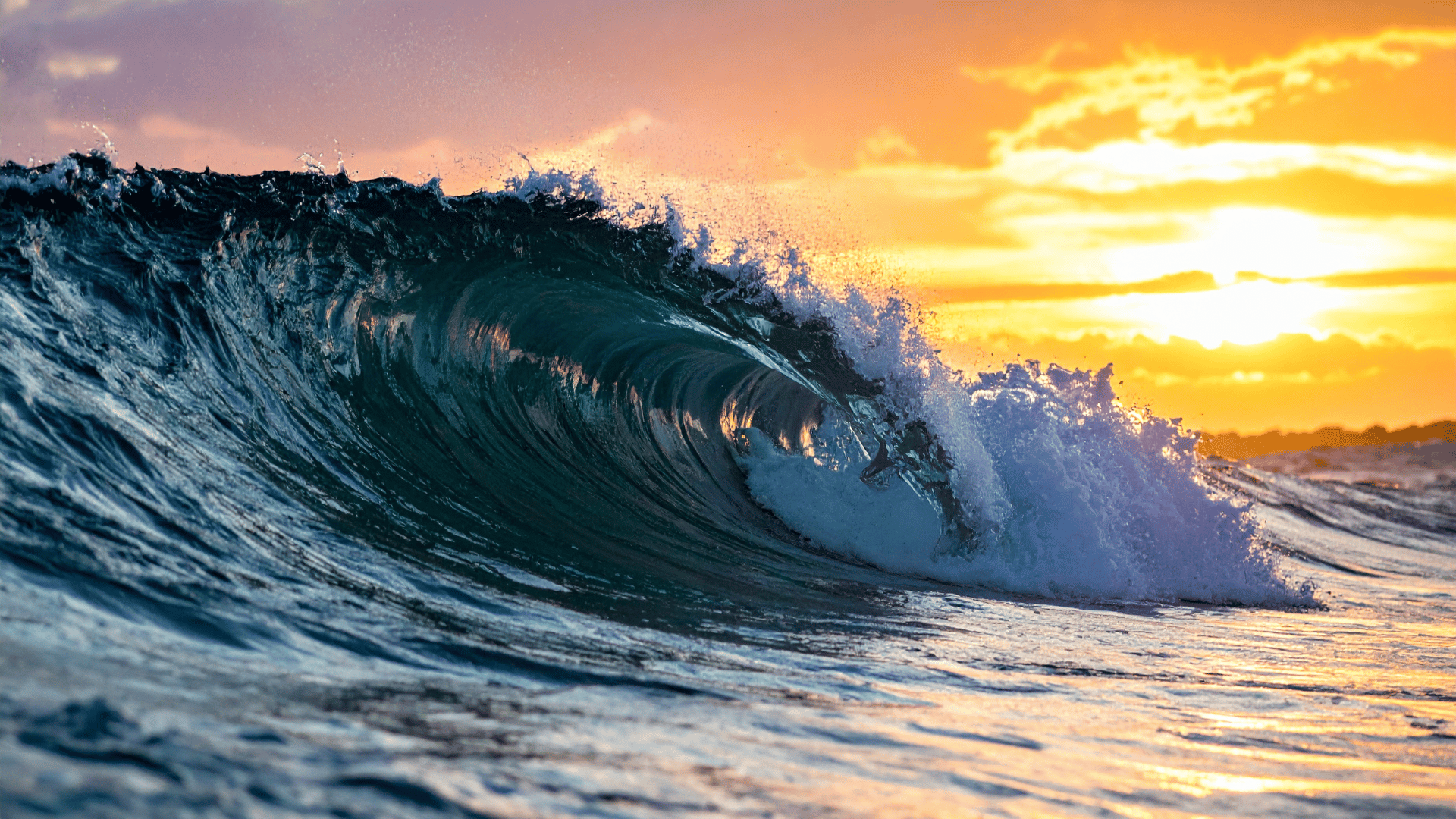 The Sober Cruise is the UK specialists in alcohol free cruises and holidays